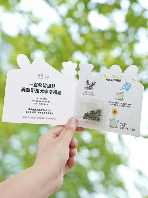 【49.9到手2桶再送向日葵种子】喜善花房纯梨膏30斤砀山梨出1斤膏配料表超干净 商品图4