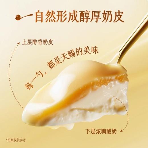 蒙牛 阿慕乐奶皮子 原味酸奶135g/杯 商品图2