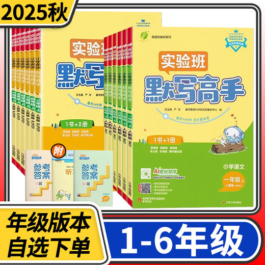 2025实验班小学语文默写高手一二三四五六上册语文人教版小学生教材同步练习专项训练天天练 商品图0