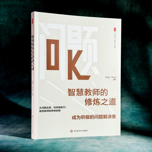 智慧教师的修炼之道 成为积极的问题解决者 大夏书系 教师专业发展 商品图3