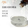 加拿大铁杉精油/云杉 加拿大精油原料批发芳疗香氛调香香薰 大篷车 商品缩略图1