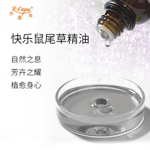 快乐鼠尾草精油/香紫苏 奥地利单方精油原料批发 芳疗护理调香香薰 商品图1