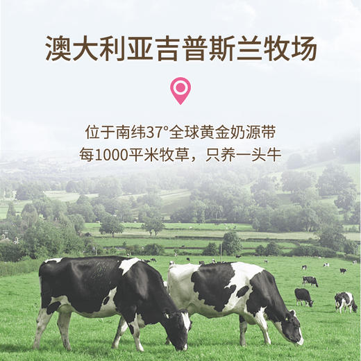 AU KingCare珍澳A2B-酪蛋白脱脂奶粉 商品图2