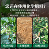 活土君发酵剂菌剂快速腐熟花生麸饼肥各种有机液500克 商品缩略图3