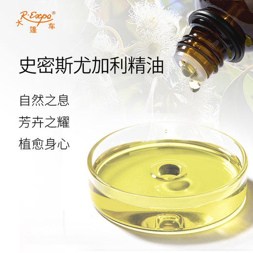 史密斯尤加利精油 澳大利亚单方精油原料批发芳疗护理调香香薰 商品图1