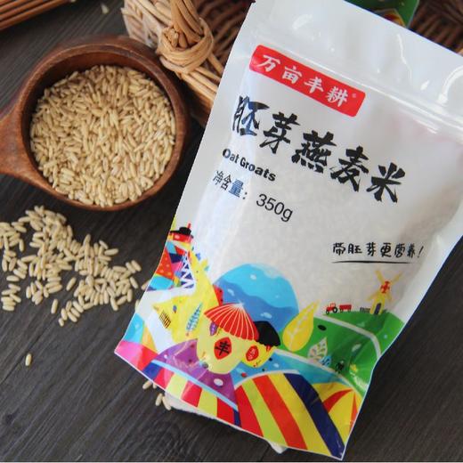 【云惜严选】胚芽燕麦米 营养早餐 粗粮代餐健康谷物 商品图1