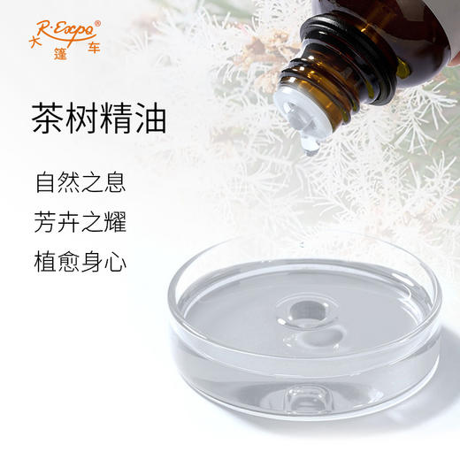 茶树精油/互叶白千层 澳大利亚精油原料批发 芳疗护理香氛调香 商品图1