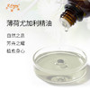 薄荷尤加利精油 进口精油原料批发芳疗护理调香香薰 大篷车精油原 商品缩略图1