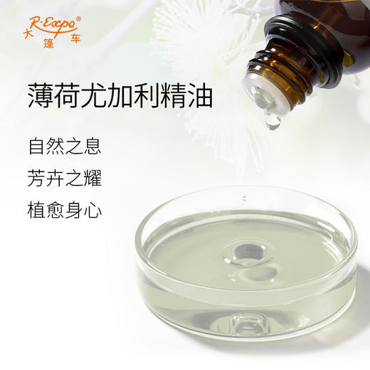 薄荷尤加利精油 进口精油原料批发芳疗护理调香香薰 大篷车精油原 商品图1