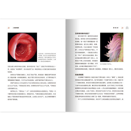 《人体使用指南》 商品图3