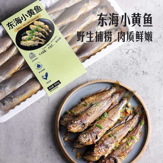MM 山姆 东海小黄鱼 900g 商品图1