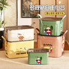 大容量带盖杂物收纳盒多功能桌面整理箱新款家用卡通图案收纳箱子 商品缩略图2