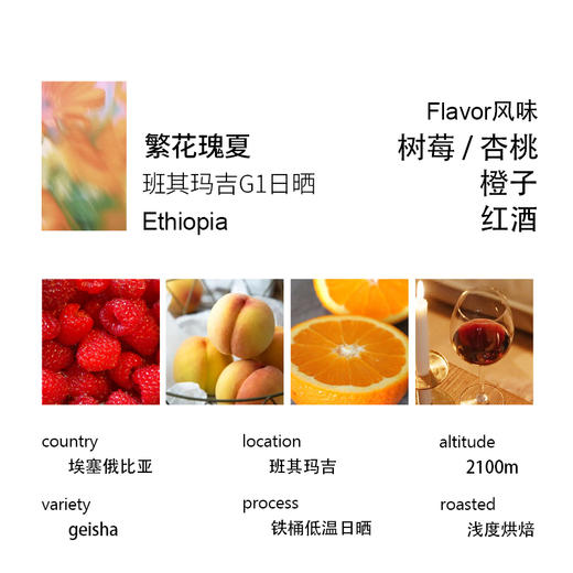 繁花瑰夏 2025产季埃塞俄比亚班其玛吉G1日晒精品手冲咖啡豆 商品图2