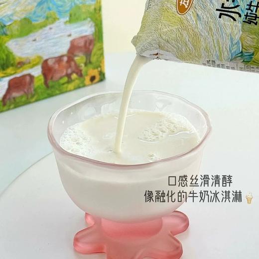 第二提半价！210ml*12左江水牛纯牛奶 儿童营养早餐奶RUI 商品图1