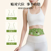 贴一贴，脂肪连夜辞职❗【燃燃炫腹草本贴】破解腰腹顽固臃肿❗️轻松坐享小蛮腰 商品缩略图13