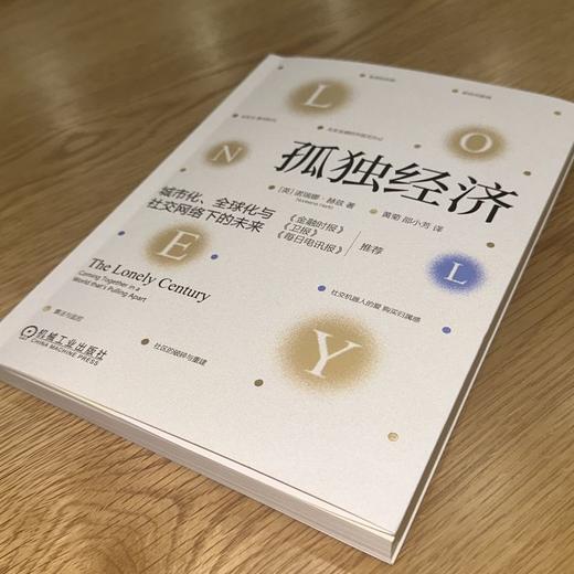 【樊登解读书】孤独经济 商品图1