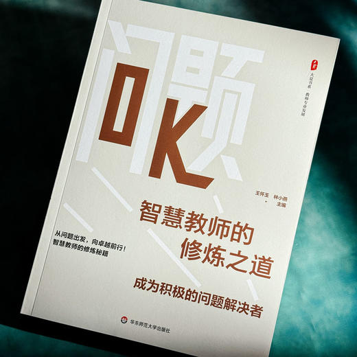 智慧教师的修炼之道 成为积极的问题解决者 大夏书系 教师专业发展 商品图4