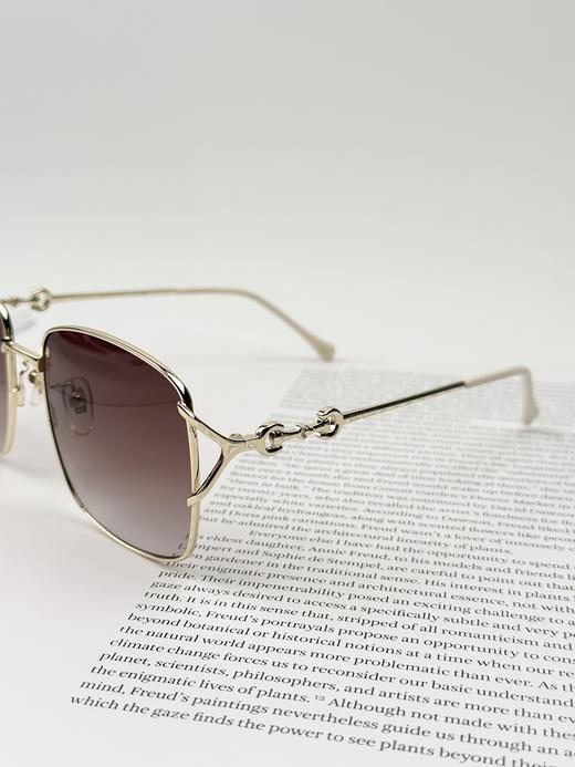 QT68-古驰 马衔扣时尚太阳镜 金属 方形 太阳眼镜 男女同款情侣款（QT*JH）夏季专享 商品图12