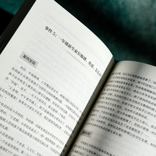 智慧教师的修炼之道 成为积极的问题解决者 大夏书系 教师专业发展 商品图13