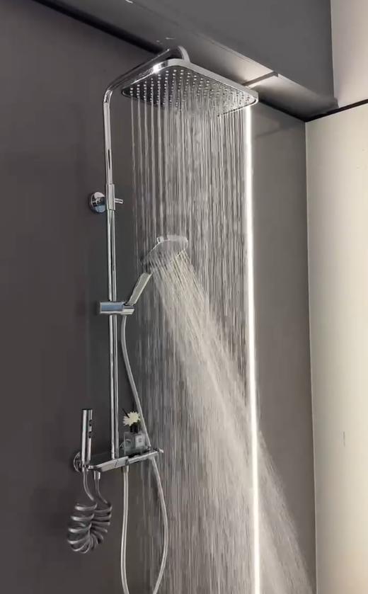 5952索伦托全铜四档花洒-电镀 商品图3