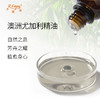 澳洲尤加利精油 进口单方精油原料批发芳疗护理调香香薰 大篷车精 商品缩略图1