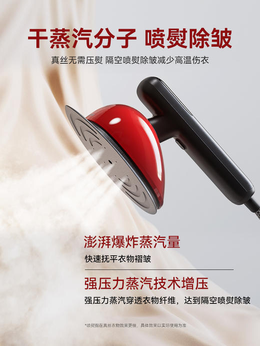 【森哥优选】大宇蔷薇挂烫机 家用手持熨烫机强压大蒸汽喷熨真丝羊绒熨斗喷烫机 商品图0