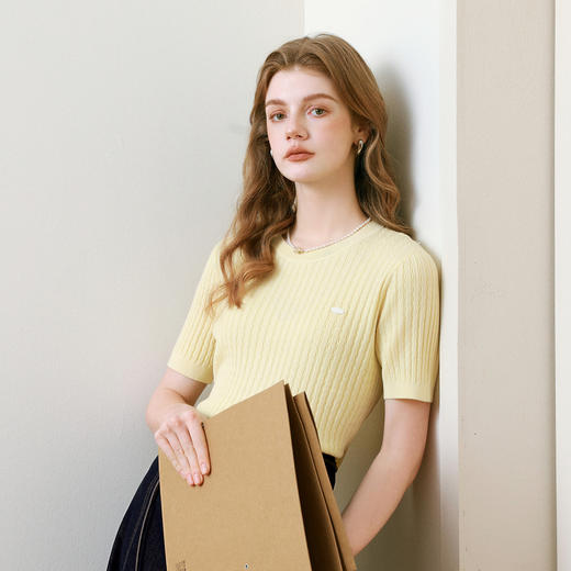 【商场同款】诗凡黎淡黄色短袖针织衫2025夏新款短上衣3G4130761 商品图4