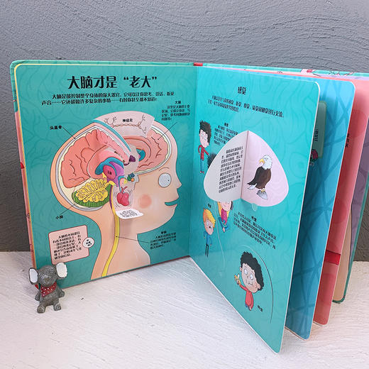 3-6岁 奇妙的身体翻翻书 精装 商品图1