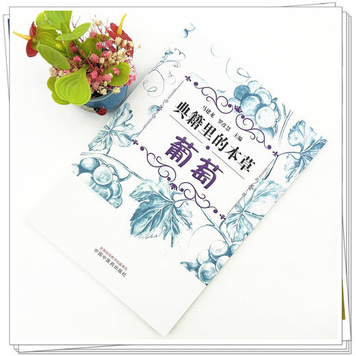典籍里的本草:葡萄 马建龙 罗彦慧 主编 中国中医药出版社 药食同源 书籍 商品图1