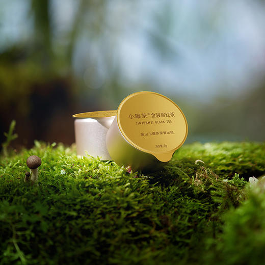 小罐茶 金骏眉 经典金罐  茶叶礼盒装 40g 【现货】 商品图13