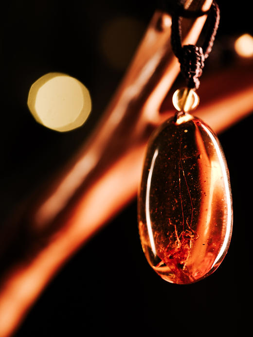 虫珀蟋蟀高货 【器悟雅玩】 商品图1