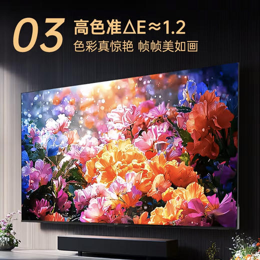 55英寸 全面屏智能投屏电视 55E9HES 商品图3