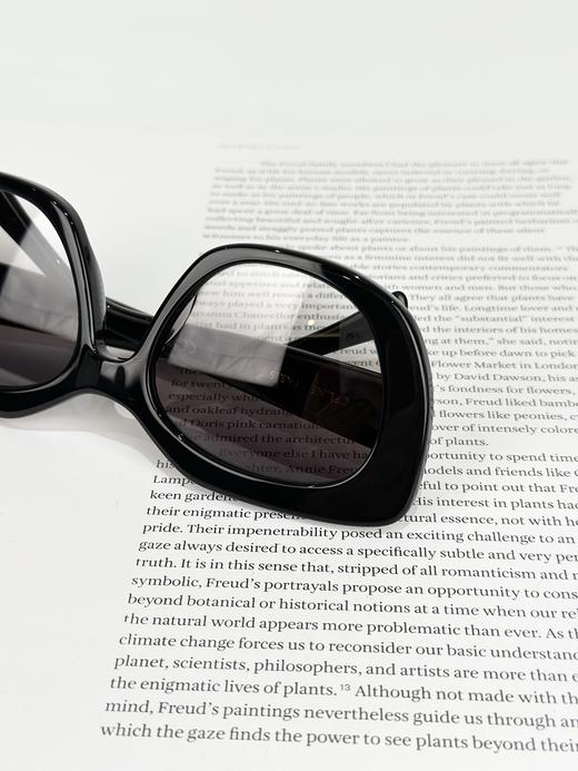 QT84-赛琳  板材镜架 不规则形 太阳眼镜 黑色 （QT*JH）夏季专享 商品图7