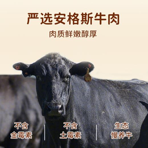 神兽果果 儿童安格斯后腿牛肉饼减盐配方 商品图1