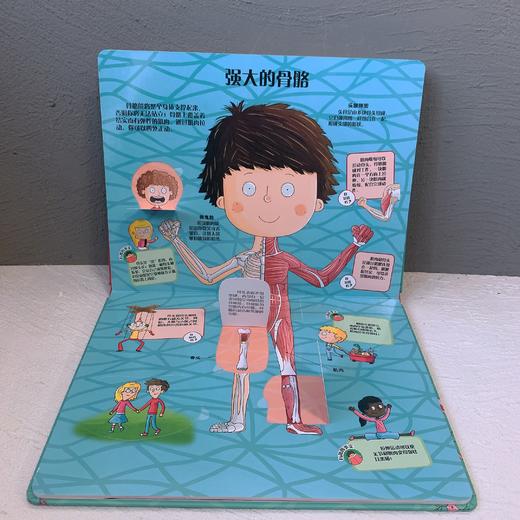 3-6岁 奇妙的身体翻翻书 精装 商品图2
