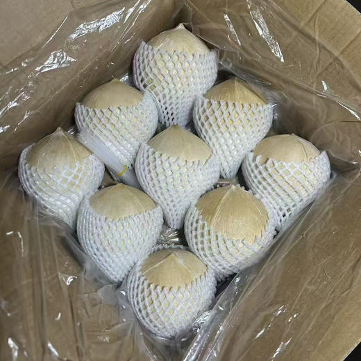 【泰国椰皇】又名奶椰，醇香奶味，100％纯天然，低糖低卡路里，清润补水，富含维生素矿物质，味道超赞,送吸管 商品图5