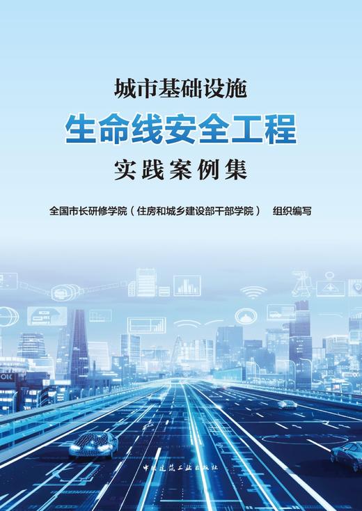 城市基础设施生命线安全工程实践案例集 商品图2