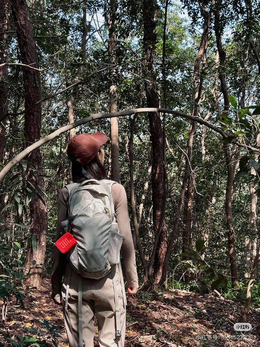 𝐉𝐁𝐋 𝐆𝐨𝟒系列音响/便携音响 商品图13