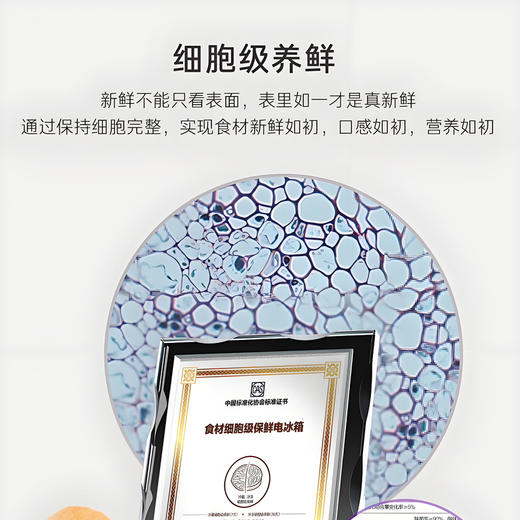 卡萨帝（Casarte）冰箱 BCD-550WGCFDMGZHU1（锦） 商品图2