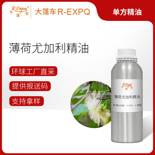薄荷尤加利精油 进口精油原料批发芳疗护理调香香薰 大篷车精油原 商品图0