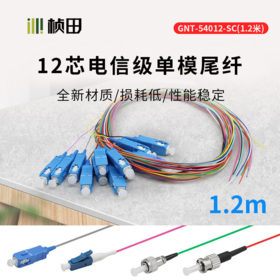 12芯单模束状尾纤-SC 1.2米