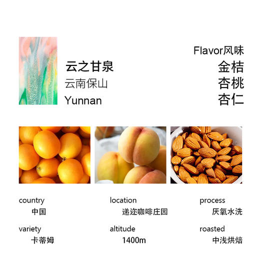 云之甘泉 2025新产季云南保山卡蒂姆AA 厌氧水洗云南精品咖啡豆 商品图1