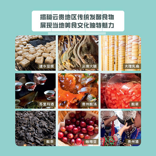 发酵中国.云南 贵州 商品图4