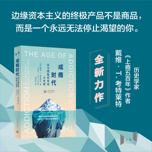成瘾时代：坏习惯如何变成大生意 商品图0