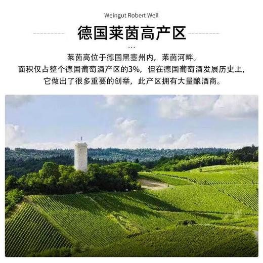罗伯特威尔酒庄莱茵高雷司令白葡萄酒 750ml 商品图2
