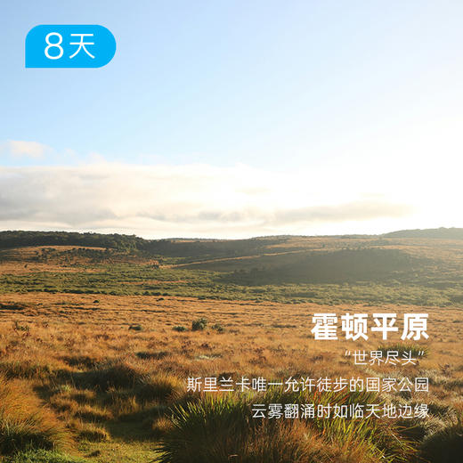 锡兰明珠丨斯里兰卡经典环线  徒步游猎追鲸 赏热带岛屿的落日熔金【签证免费】 8日 商品图6