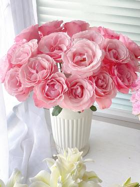 和弦玫瑰【 有一个世界永远不天黑，星星太阳万物都听我指挥】简小姐精选稀有粉色玫瑰 和弦 基地直发 2件顺丰空运包邮