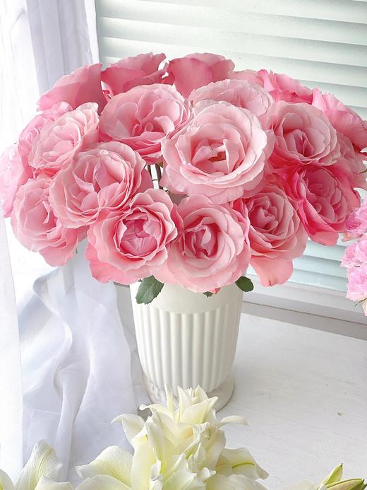 和弦玫瑰【 有一个世界永远不天黑，星星太阳万物都听我指挥】简小姐精选稀有粉色玫瑰 和弦 基地直发 2件顺丰空运包邮 商品图0