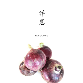 洋葱  6.5斤包邮装
