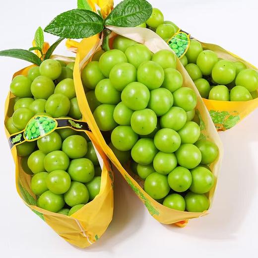 阳光玫瑰葡萄 商品图0